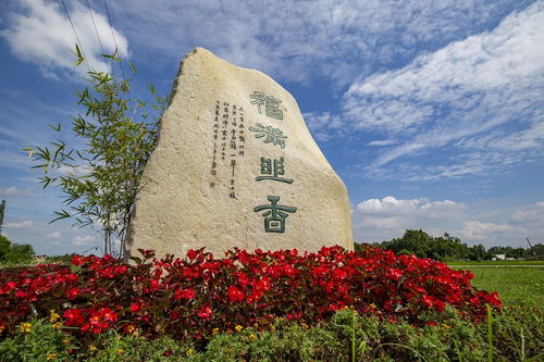 雙節 樂享郫都文旅盛宴 游玩中閱讀鄉村振興新篇章